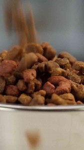 This Is Why Dogs and Cats Sometimes Eat Their Owners