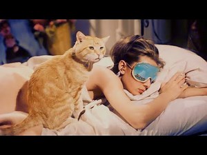 Universe’s Favorite ✨ Everything Always Works Out in Your Favor | Subliminal