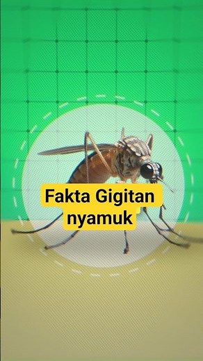 Unik! Inilah Fakta Menarik Tentang Gigitan Nyamuk