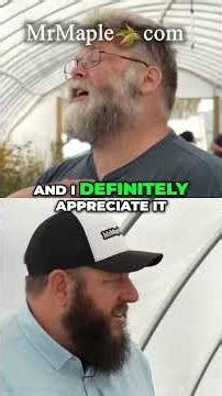 The Japanese Maple Legacy Lives On