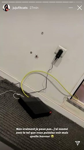 Juju et Tibo croisent des araignées dans leur nouvelle maison