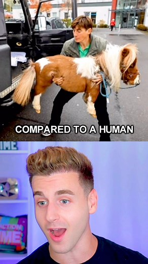 Tal Fishman on Instagram: "Things that are way smaller than they seem"