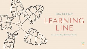 How to Draw: Learning Line | Liz Brindley | Skillshare