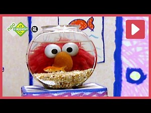 15 MINUTEN ELMO'S WERELD | Sesamstraat | NPO Zappelin