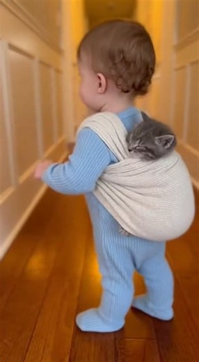 2.2K views · 62 reactions | The sweetest conversation without words. | Animal Stories | Facebook