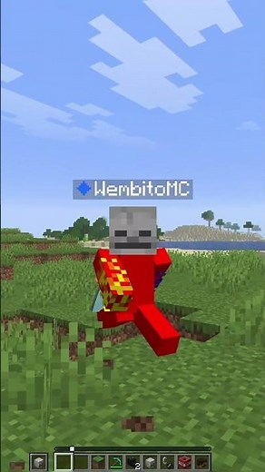 All Minecraft Heads Explained!