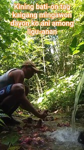 #spring #fypシ゚ #follower | Rafael Margaja Englis