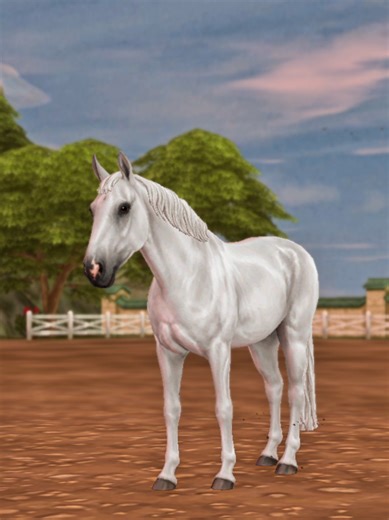 How do you guys like the Swedish warmblood? I find the horse amazing but the character position is 👎 #starstableonline #starstabletiktok #sso #starstable