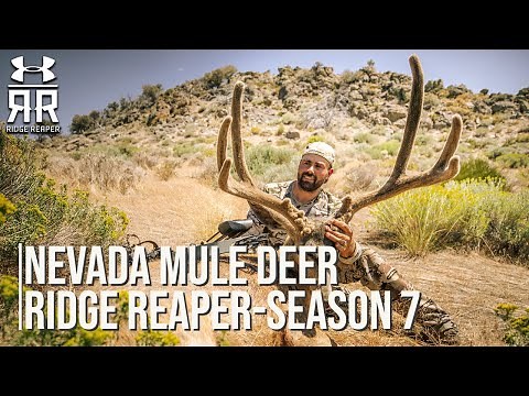 Nevada Mule Deer With Remi Warren - Ridge Reaper Season 7