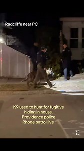 16K views · 41 reactions | K-9 in providence, Rhode patrol live. #ri | John DePetro Show | Facebook