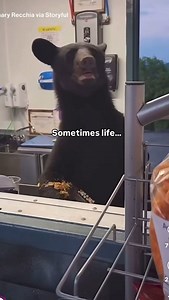 2.8M views · 23K reactions | Jackie's Randomness on Reels | Facebook