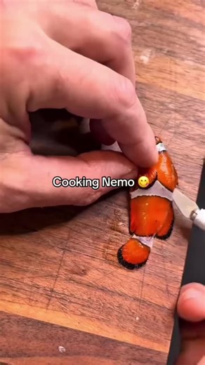 #stitch with @The random vid