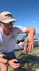 41K views · 628 reactions | The second catch is better 爐 Fun Facts...