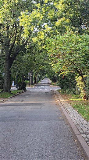 Spring Screensaver 🌺 #shorts