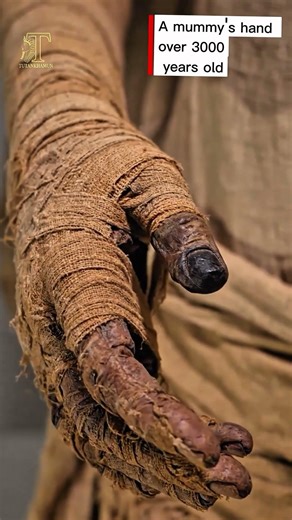This hand has survived for over 3,000 years… #ancientegypt #history #shorts