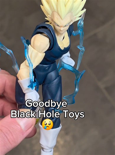 The Impact of Black Hole Toys on Collectors