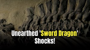 Rare prehistoric 'Sword Dragon' reptile unearthed in the UK