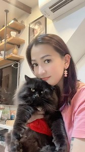 4K views · 382 reactions | A day in the life of a crazy cat lady  I love my cats more than I love most people..  | Sojina Jaya | Facebook