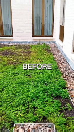 🏙️ Motel One – Dublin City Centre A tricky one but we got it done! We recently completed this artificial grass installation for Motel One, using their own grass product. The area was on the first floor, which made access a real challenge — the only way to get the grass into place was to cut it into manageable lengths and carefully joint it back together once up there. Another great transformation and a team effort to make it happen! #ArtificialGrass #EasigrassDublin #GMC #Dublin #MotelOne #Gard