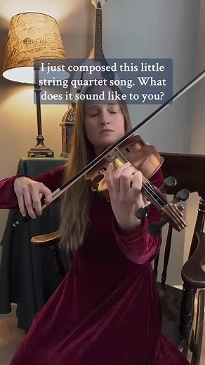 Tell me a story! What does this sound like? #violin #fiddle #stringquartet | Gabriellemartinviolin