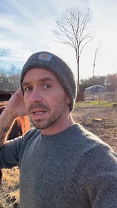 5.7K views · 439 reactions | A steer is a cow is a cow…I know he wants me to drop the hay and leave but I’m not feeding anything that won’t give me cuddles and kisses…. #steer #pets #goat | Goat Daddy's Farm | Facebook