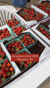 Live from Strawberry Fest 2025! 🍓 Waupaca is buzzing and the vibes are unreal! If you’re not here, you’re seriously missing out on one of the summer’s sweetest traditions! Local treats, 150 vendors and all the strawberry goodness you can handle. Don’t say we didn’t warn you… 👀 C’mon down! #StrawberryFest2025 #travelwisconsin #waupacawi #strawberryfest #midwestcontent #thingstodo #summerevents #waupacachainolakes #chainoflakes #shoplocal #mainstreet | Visit Waupaca Chain O'Lakes