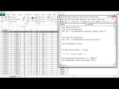 VBA Tutorial 11: Auto filter in Excel VBA