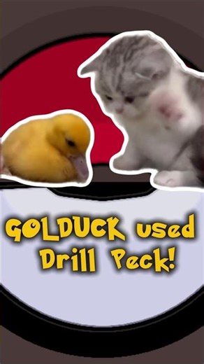 GOLDUCK used Drill Peck!