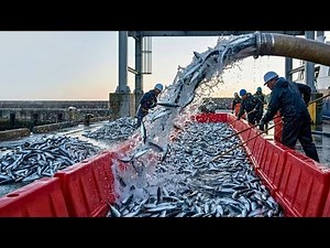 $100,000 in ONE Net — The Dock Turned Silver | Fishing Documentary
