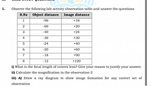 Observe the following lab-activity observation table and answer... | Filo