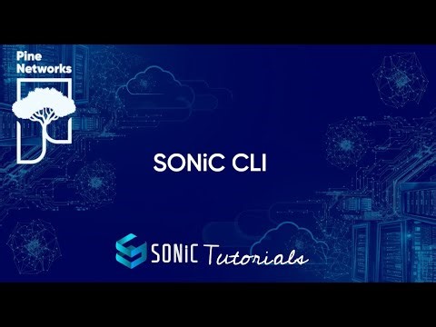 3 - Introduction au CLI SONiC