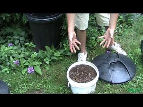 How To Make Easy Hassle Free Compost Tea
