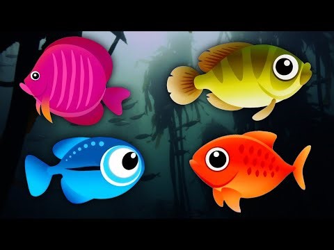 Fish Animation🐡 | Fishes💤