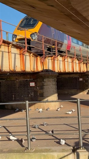 Cross country class 220-221 rattling over the kennaway viaduct - York to Plymouth 220014-221137