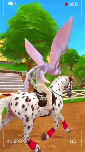 🤎🤍Frisón Leopardo 🤍🤎