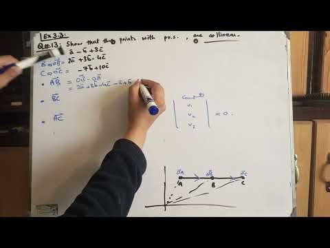 Unit 3| Exercise 3.3 | Question 12 & 13 | Grade 11 | National Book Foundation