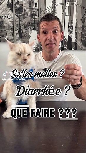 Selles Molles et Diarrhée : Que Faire ?