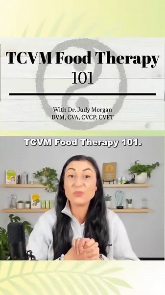 ⏰ It's the last day to take 20% off my newest course, TCVM Food Therapy 101! After completing TCVM Food Therapy 101, you’ll feel confident feeding your pet the correct foods based on their excesses and deficiencies. Start the course: https://www.drjudyu.com/offers/TVRyyR24/checkout?coupon_code=TCVM20 #drjudymorgan #naturallyhealthypets #holisticvet #tcvm #foodtherapyfordogs #foodtherapyforcats #dognutrition #catnutrition | Dr. Judy Morgan's Naturally Healthy Pets