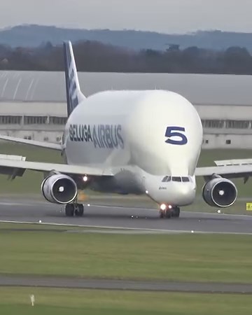 Airbus Beluga #airbus #beluga #avgeek #aviation | RVA Aviation