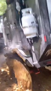 15K views · 1.6K reactions | @leaddogmotorsports Unleash your spirit...