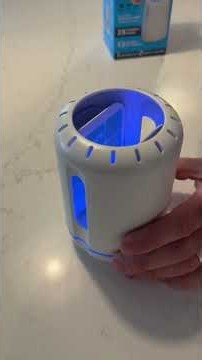 Catch flies without the chemicals! Here's How!