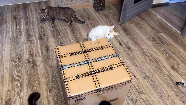 Unboxing of the FLASHFORGE ADVENTURER 5M 3D printer Review and test printing at super speed