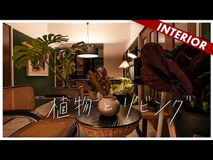 【リビング完成】築27年ここまで変わる！統一感が出るリビングの作り方（おすすめデザイン家電ご紹介）