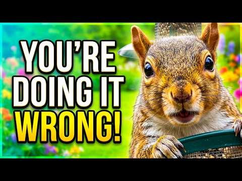 The Biggest Summer Bird Feeding Mistake? Stop Filling Your Feeder With THIS
