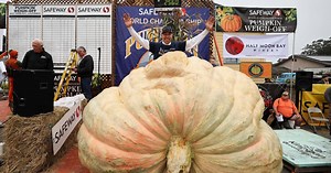 Anoka man sets pumpkin weight record in California with 2,560-pound gourd