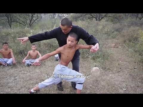 Shaolin Xinyiba - Traditional Xiao Hong Quan & Gongfa (skill methods) tutorial