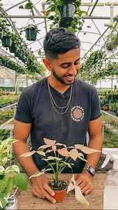 18 reactions | If you're a plant beginner, here is an easy weekly...