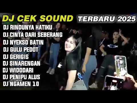 CEK SOUND BASS HOREG || DJ RINDUNYA HATIKU X CINTA DARI SEBERANG🔥DJ BASS NULUP VIRAL TIKTOK 2025