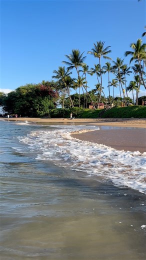 Ulua Beach 🏖️ Maui, Hawaii 🌺 • • • #wailea #kihei #maui #hawaii #aloha #hotelsandresorts #beautifuldestinations #fblifestyle #vacation #travel #explore #paradise | Adam Hancock