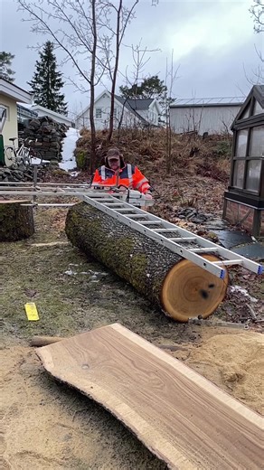 Milling Oak Slabs with Stihl MS881 and Granberg Alaskan Mill